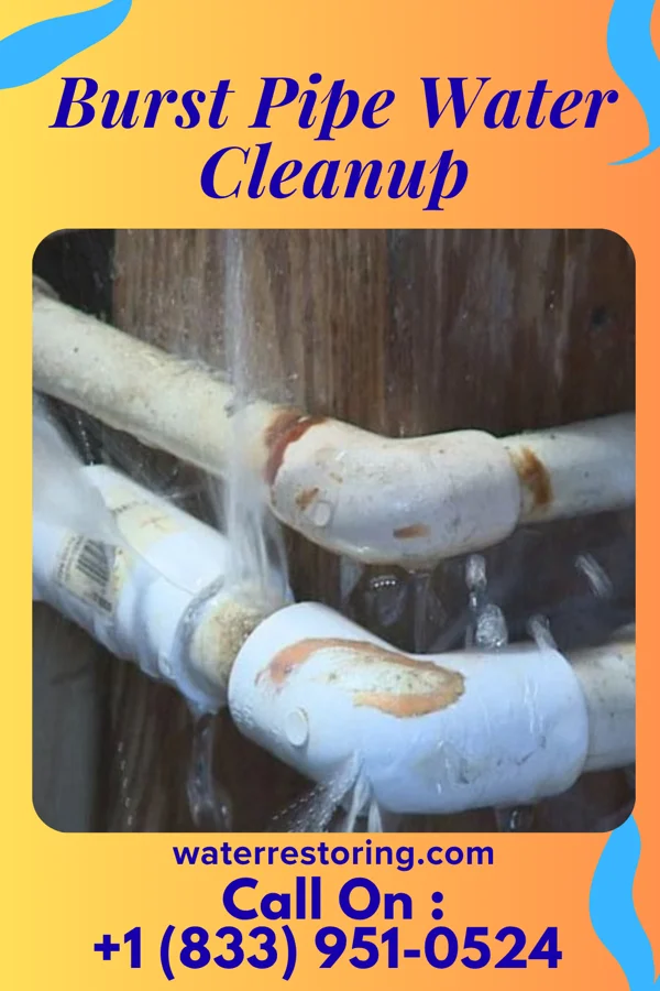 Burst Pipe Water Cleanup in Smith Center, KS