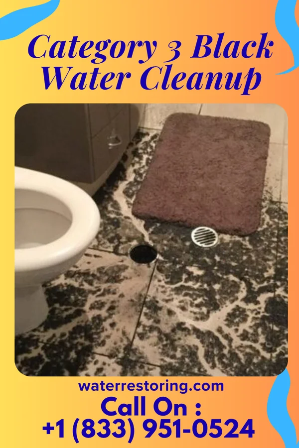 Category 3 Black Water Cleanup in Smith Center, KS