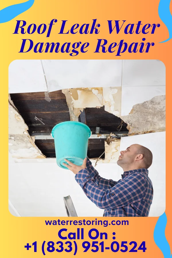 Roof Leak Water Damage Repair in Smith Center, KS